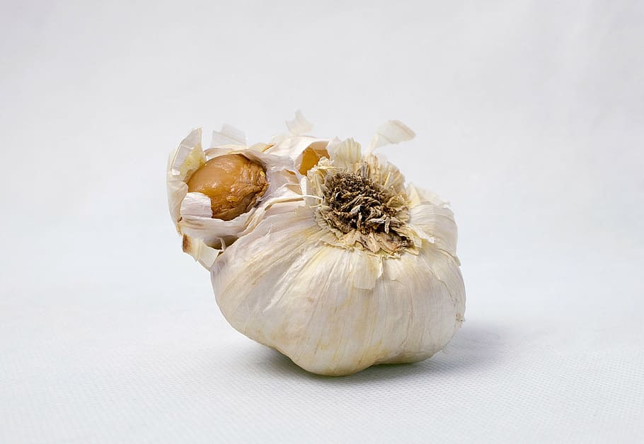 garlic, food, vegetables, corrupted, eat, product photo, bad garlic, rotten garlic, poor vegetables, unfit for human consumption