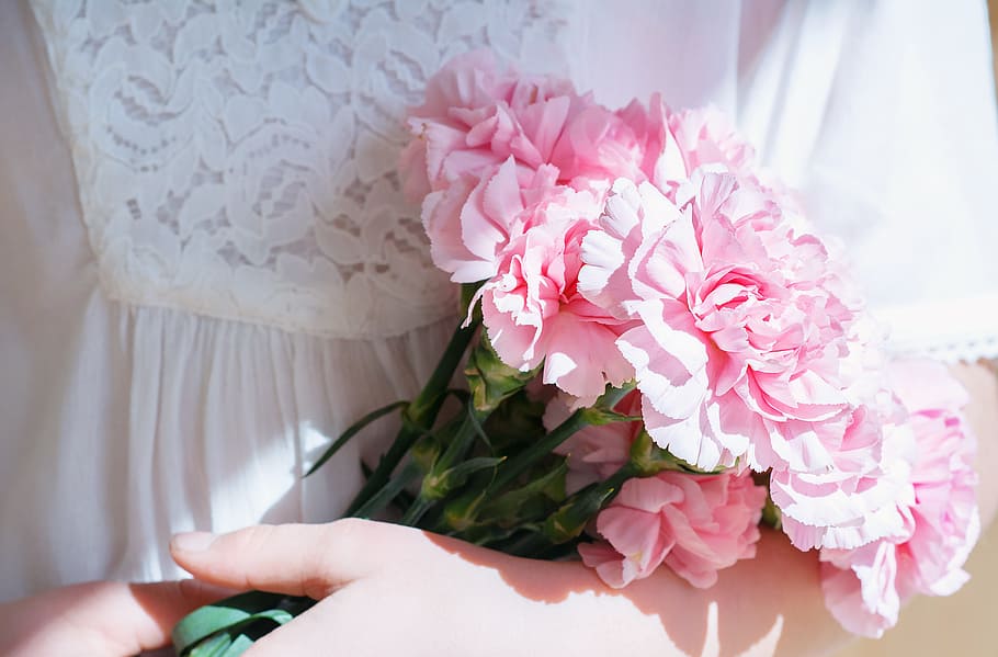 persona, blanco, vestir, llevando, rosado, ramo de flores de clavel, clavel, flores, ramo, clavos
