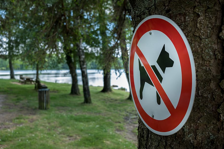 sign, dog, symbol, animal, icon, pet, park, picnic, prohibited, forbidden