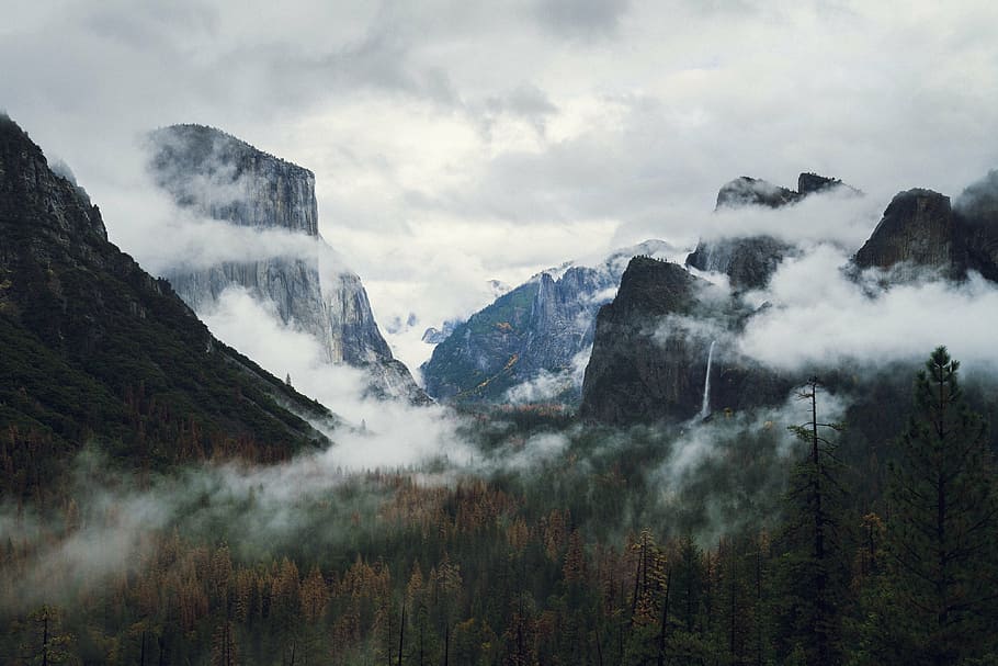туман, покрытый, гора, высокий, деревьями, серый, скалистый, курит, нагорье, долина