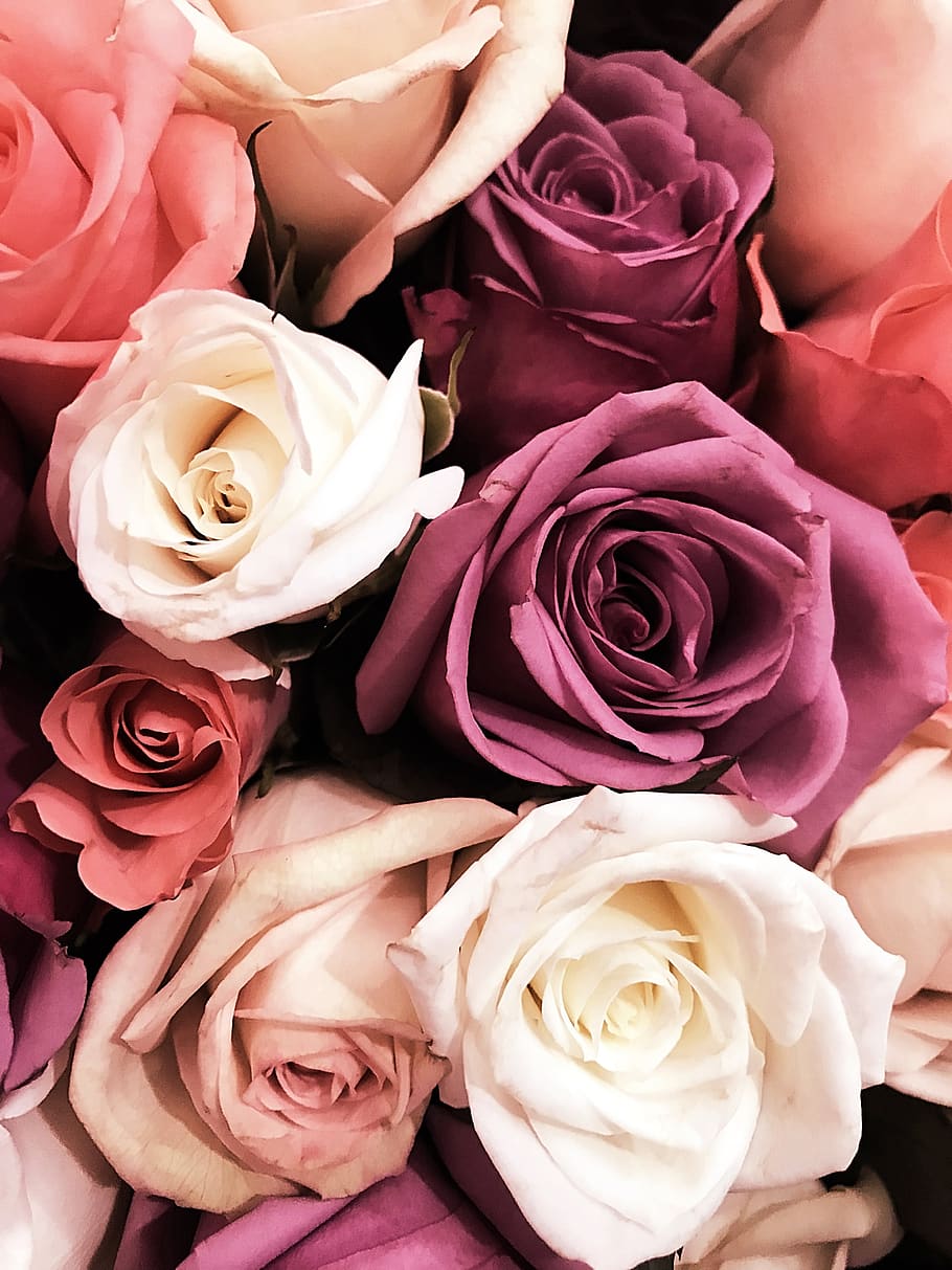 flowers, bouquet, pink, rose, roses, wedding, boho, mauve, purple, lockscreen wallpaper