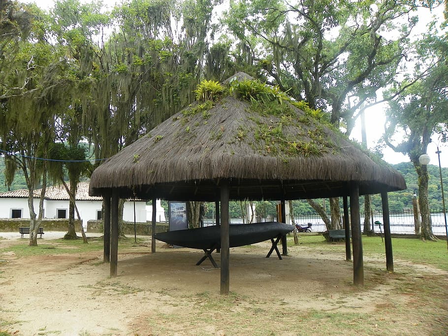 bertioga, tupiniquins park, oca indigena, tree, plant, thatched roof, land, roof, day, nature