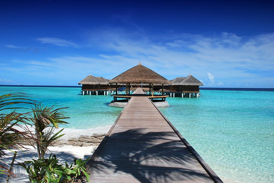 gray dock, maldives, ile, beach, sun, holiday, ocean, nature, sand, water