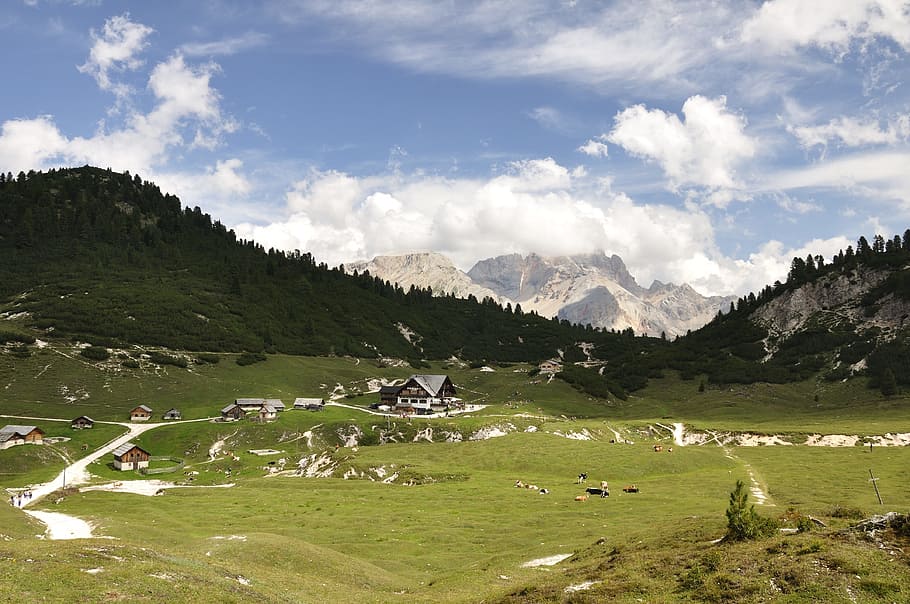 Alpino, Dolomitas, Alm, Rocha, Maciço, Maciço rochoso, Berghof, Vacas, pasto, montanhas