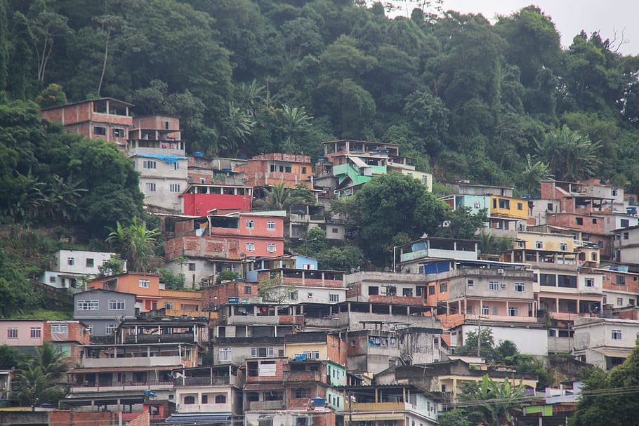 favela, rio de janeiro, brazilwood, housing, pauvretė, house, morro, hill, slum, misery