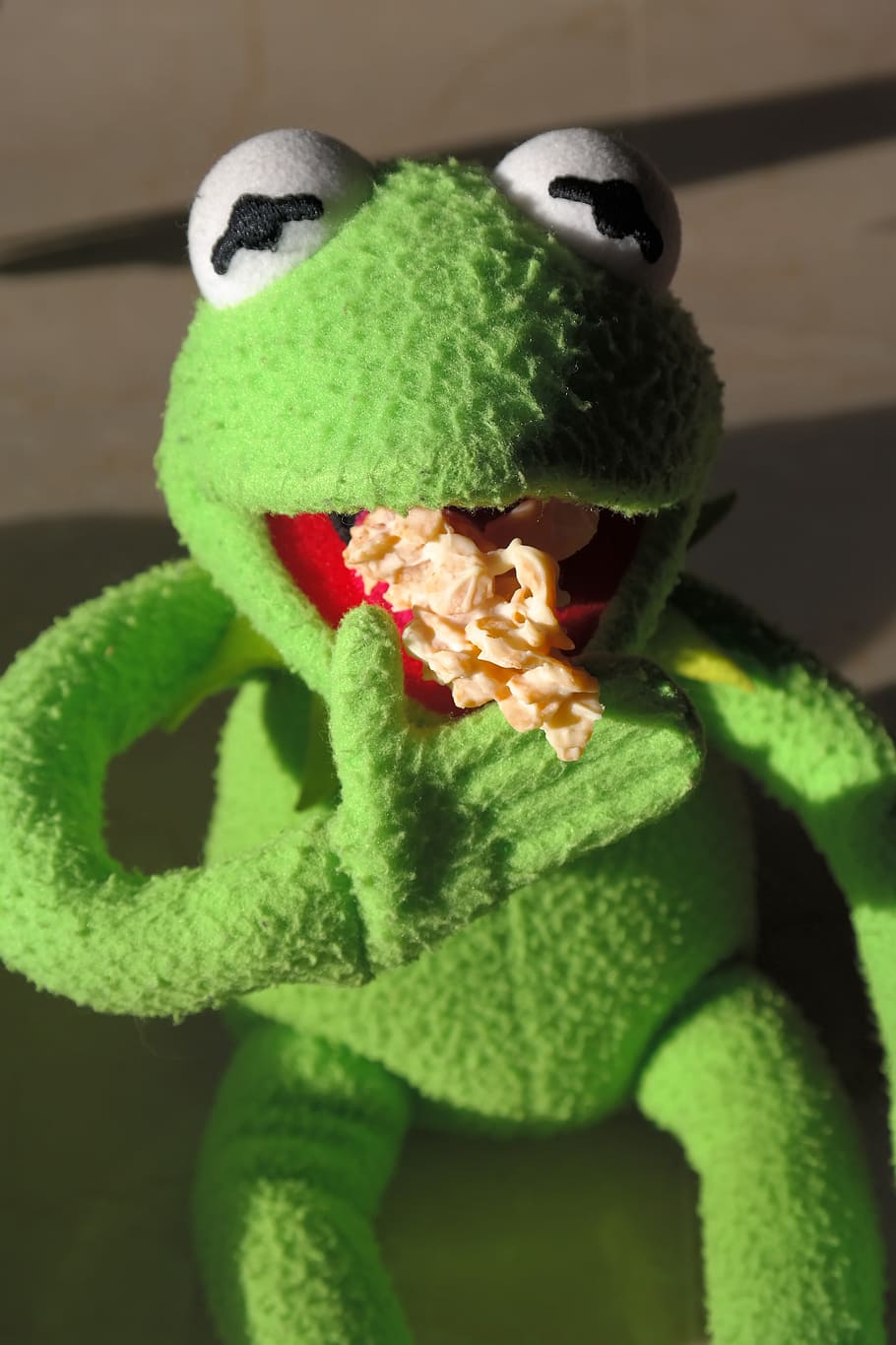 Frog, Kermit, Cookie, Nibble, Hunger, eat, small cakes, chocolate crisp happen, chocolate cornflakes cakes, chocolate cornflakes