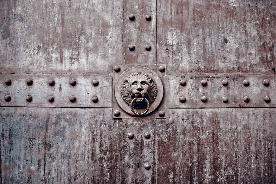 brown lion knocker, goal, portal, door, input, gate, historically, architecture, old, fittings