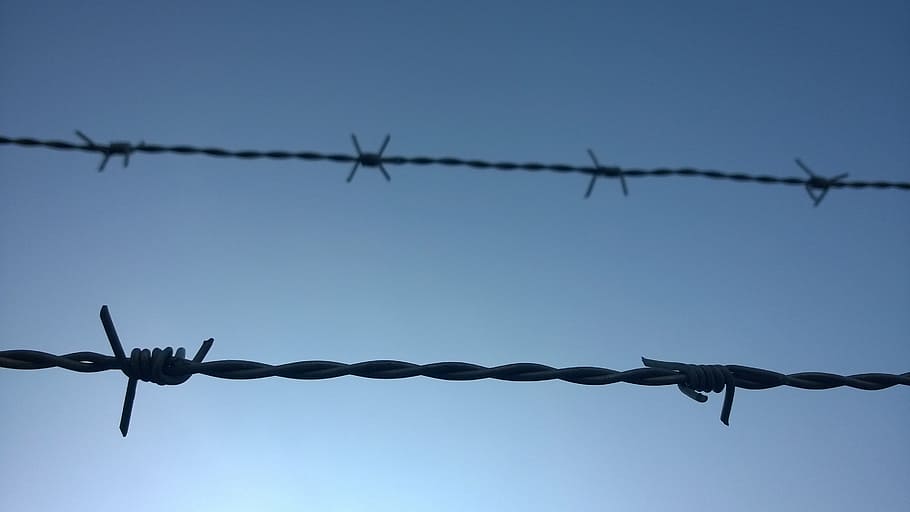 barbed wire, symbol, caught, safety, protection, security, wire, metal, sharp, fence