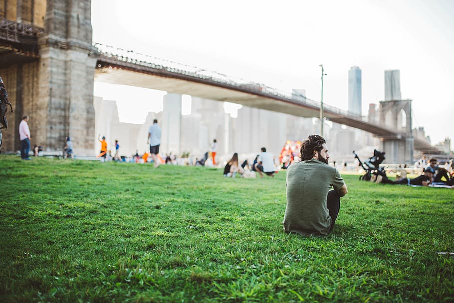 manusia, duduk, hijau, rumput, jembatan brooklyn, foto, atas, hitam, pantat, kerumunan