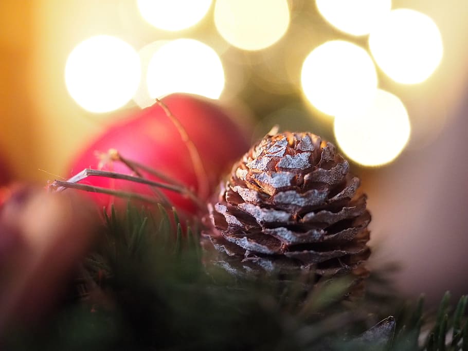 Christmas, X Mas, Xmas, Advent, Wreath, advent, wreath, pine cones, candle, apple, bokeh