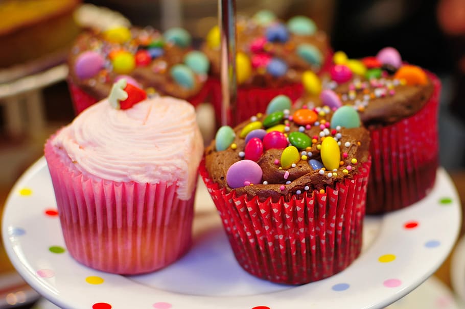 cupcakes de aniversário, aniversário, cupcakes, bolo, bolos, chocolate, botões de chocolate, cupcake, doce, sobremesa