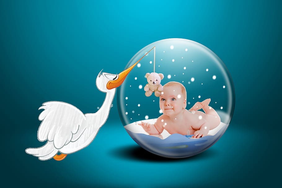 baby, fertility, children, daughter, son, pacifier, stork, teddy bear, blue background, colored background