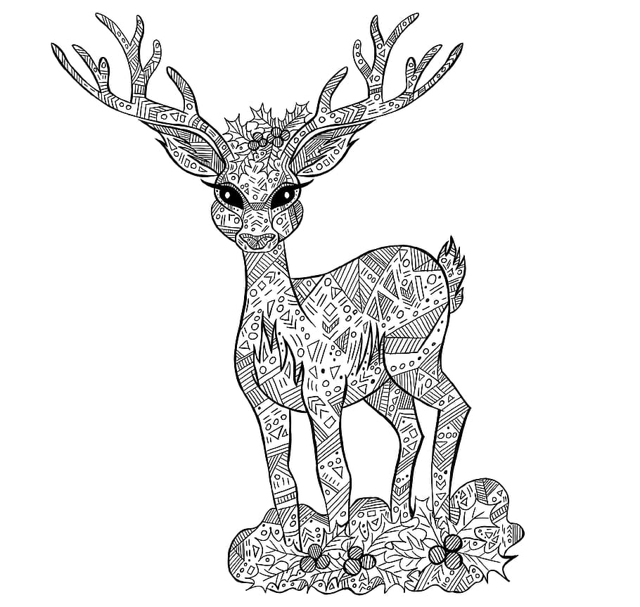 deer, coloring, christmas, animal, drawing, nature, art and craft, white background, cut out, representation