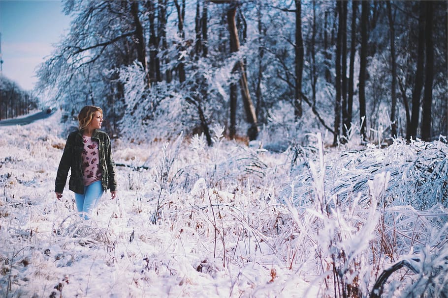 woman, green, jacket, standing, snow, covered, forest, walking, daytime, young