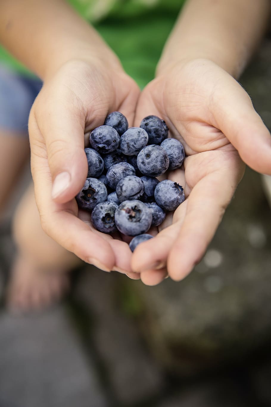 person holding raspberries, berry, blueberry, fruit, food, palm, hand, blur, human hand, human body part