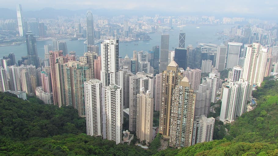 aéreo, fotografía, rascacielos, edificios, hong kong, asia, monte victoria, panorama, gran ciudad, skyscapers
