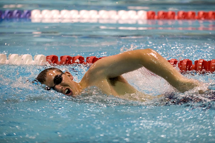 man, swimming, pool, swimmer, training, lane, competition, style, stroke, athlete