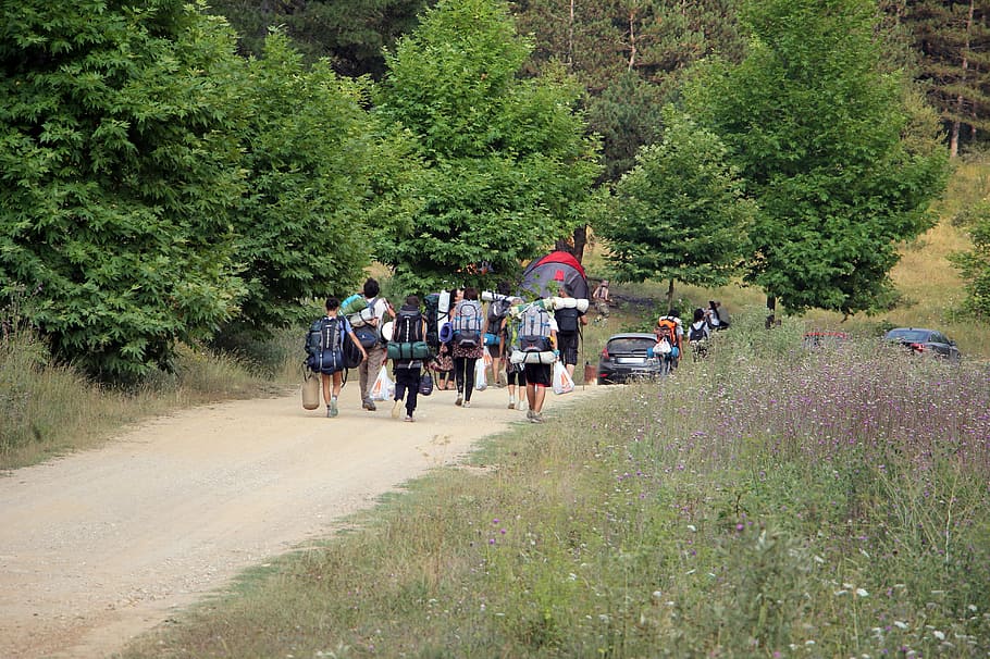 group, people, carrying, climbing, backpack, walking, surrounded, trees, plants, camping