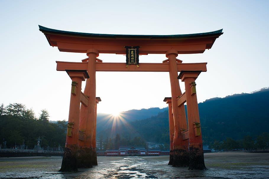 orange, black, wooden, japan, daytime, torii, shrine, sea, itsukushima shinto shrine, god