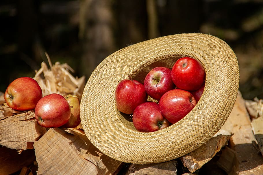 bunch, apples, brown, sun hat, apple, fruit, food, wood, nature, hat