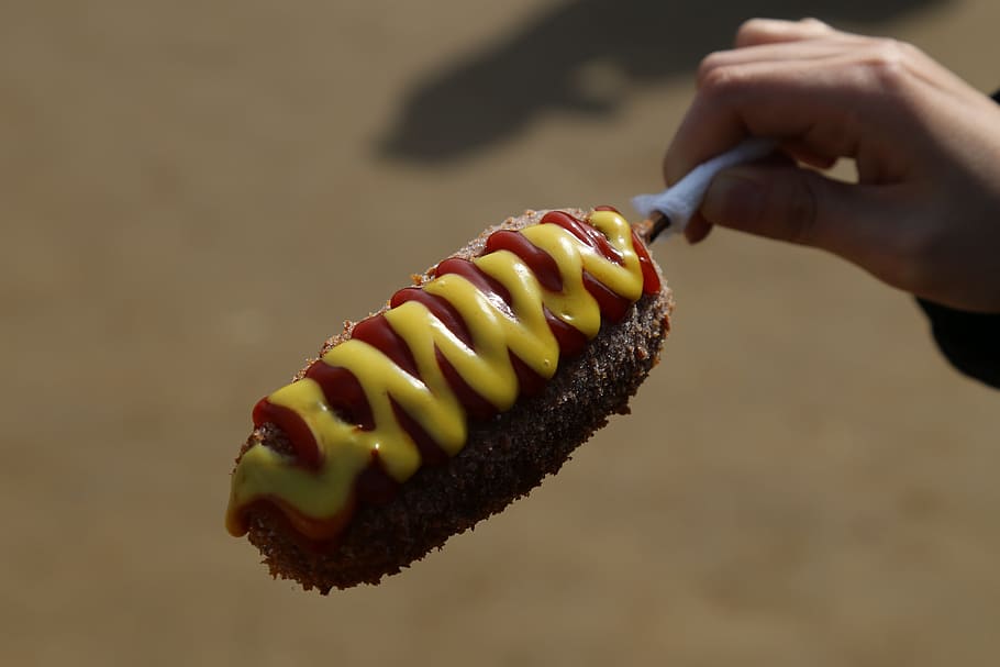 Hot Dog, Comida, Delicioso, algo para comer, República de Corea, comida y bebida, una persona, parte del cuerpo humano, mano humana, fruta