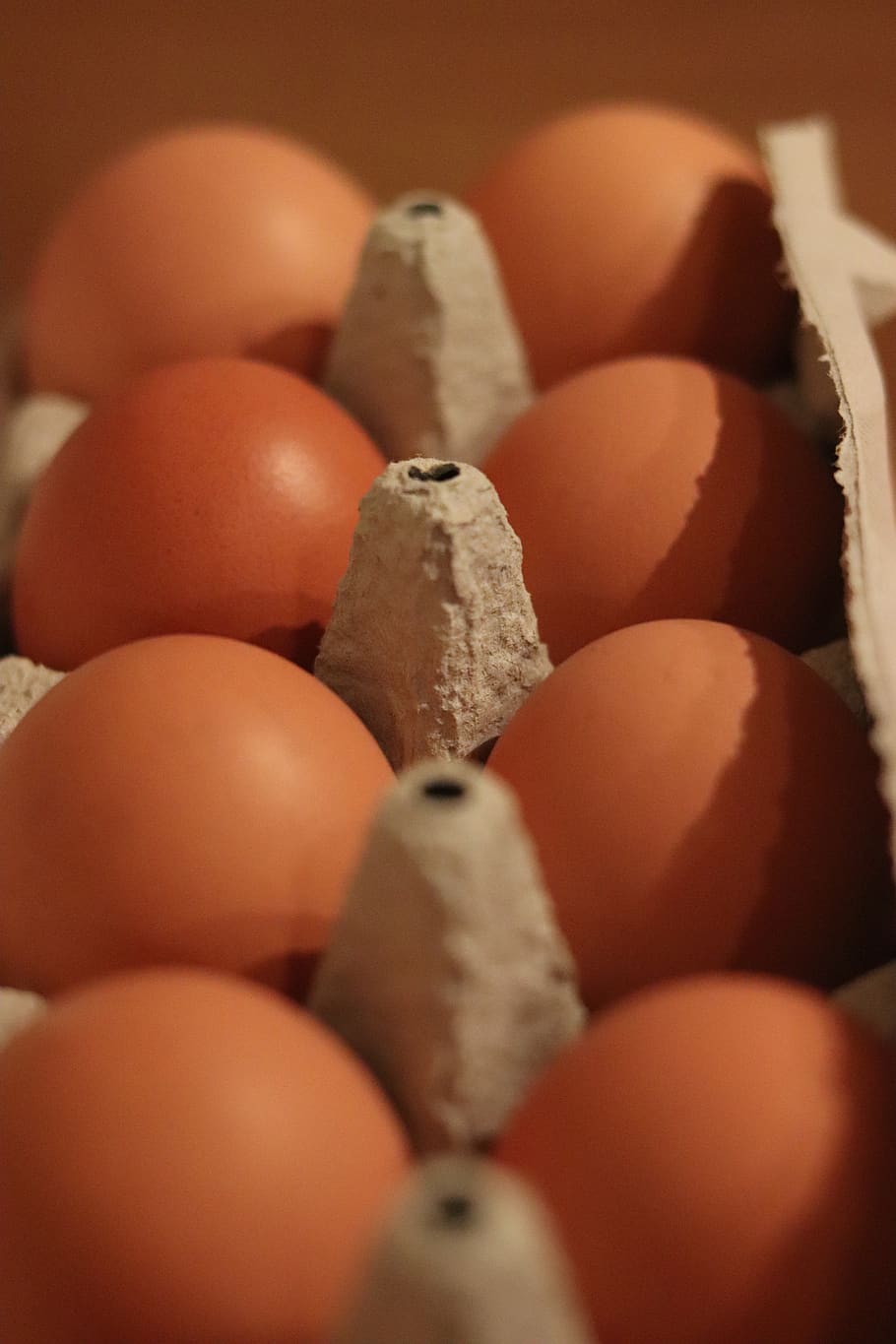 eggs, box, power, food, food and drink, freshness, selective focus, still life, close-up, healthy eating