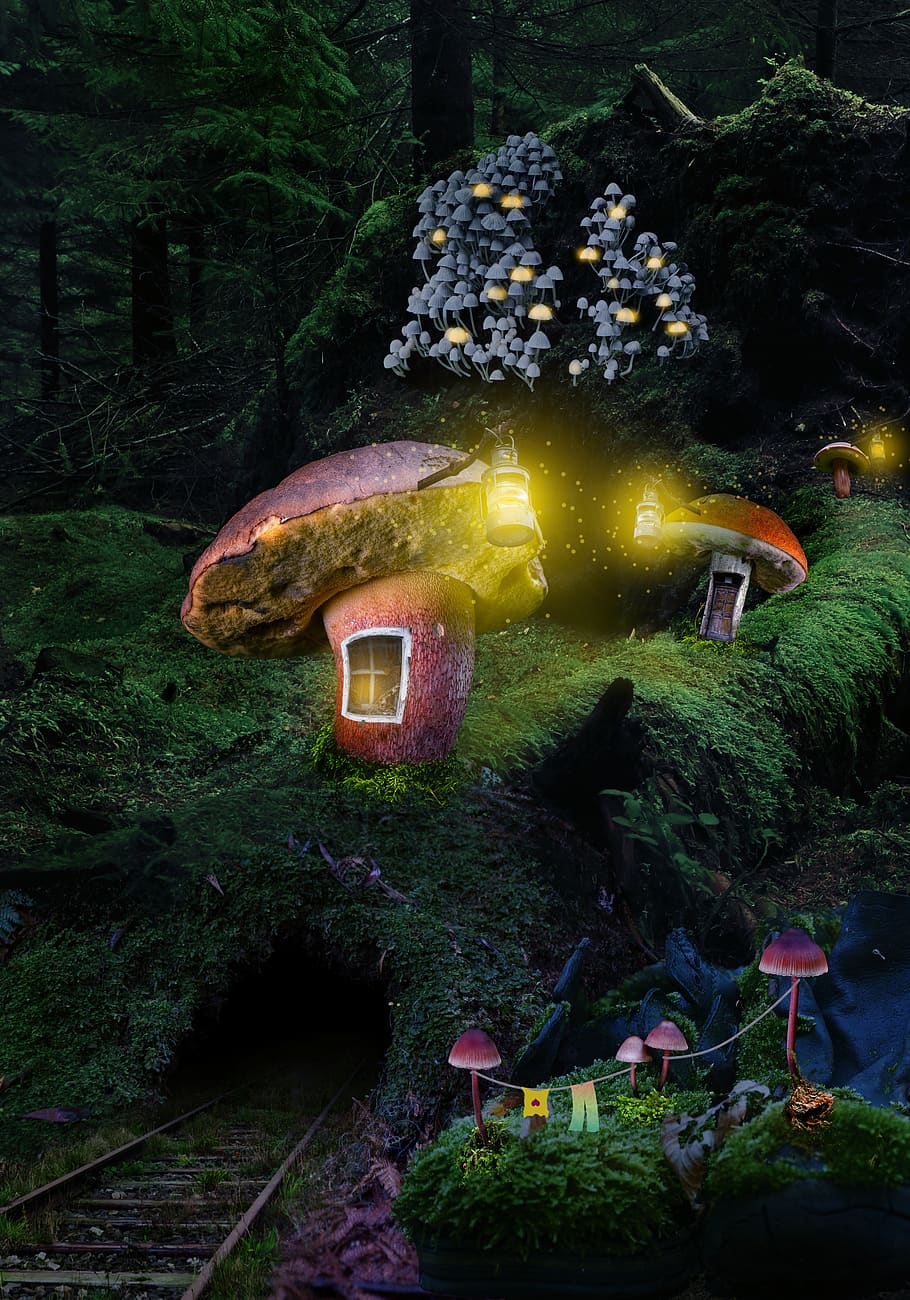 forest, village, inhabited, mushrooms, night, illuminated, lights, rail track, fairy tales, fantasy