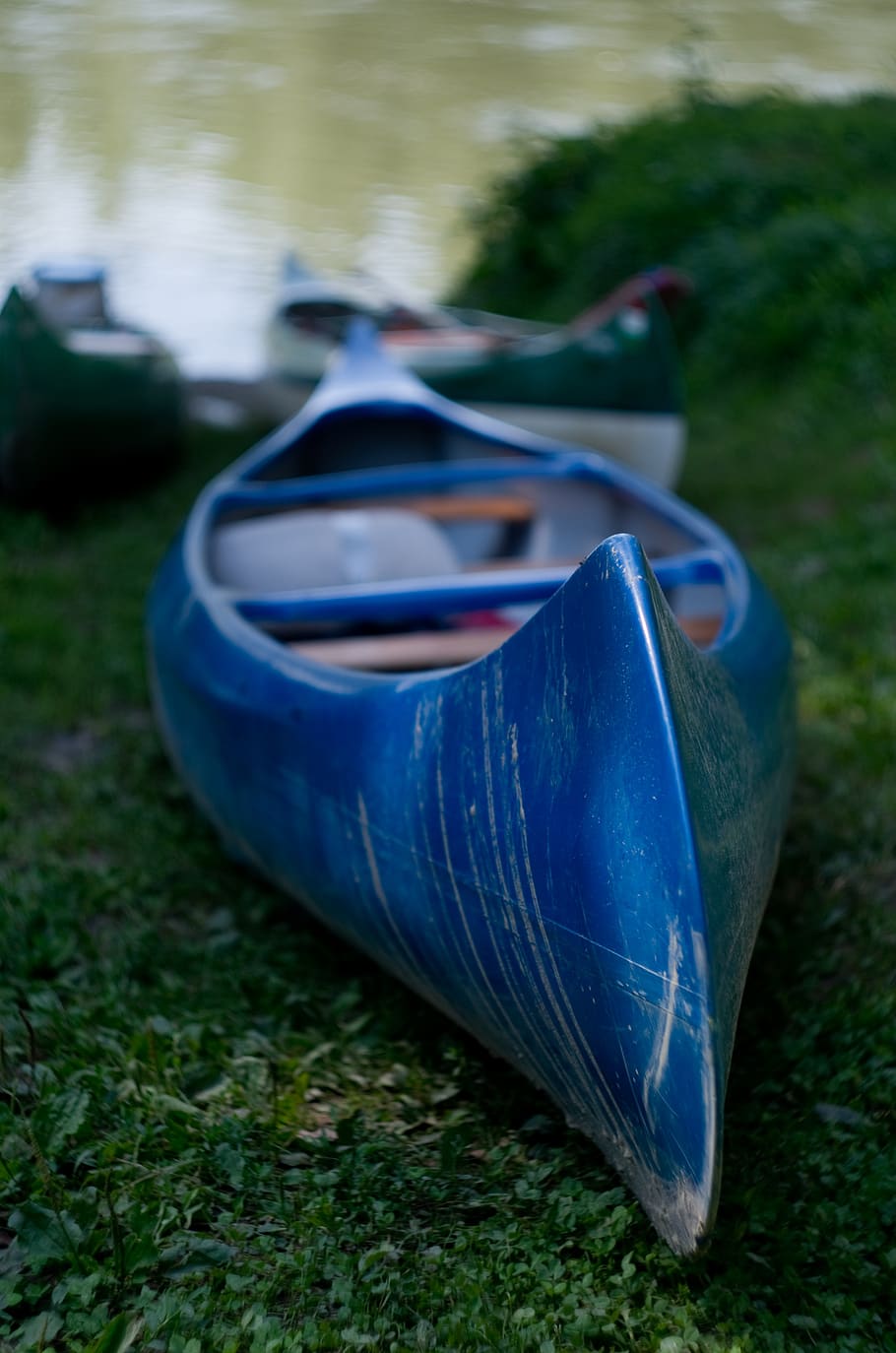river, part, canoeing, blue, grass, nature, plant, day, land, water