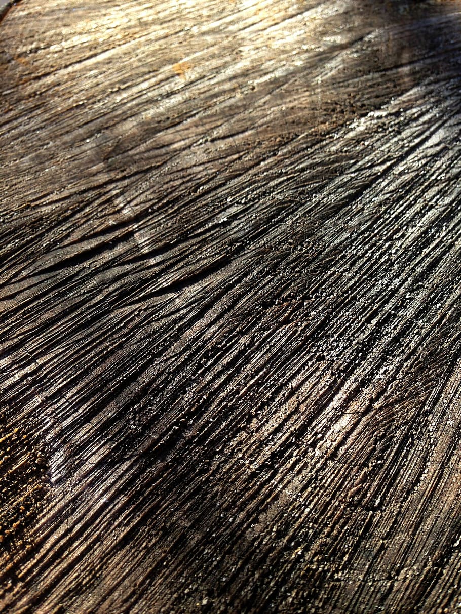 wood, old wood, trunk, texture, stripe wood, backgrounds, textured, full frame, close-up, pattern