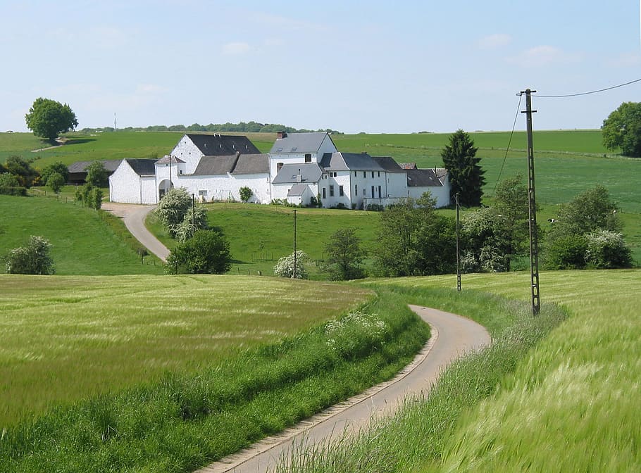 white, concrete, grass field, daytime, Belgium, Farm, Landscape, House, Home, landmark