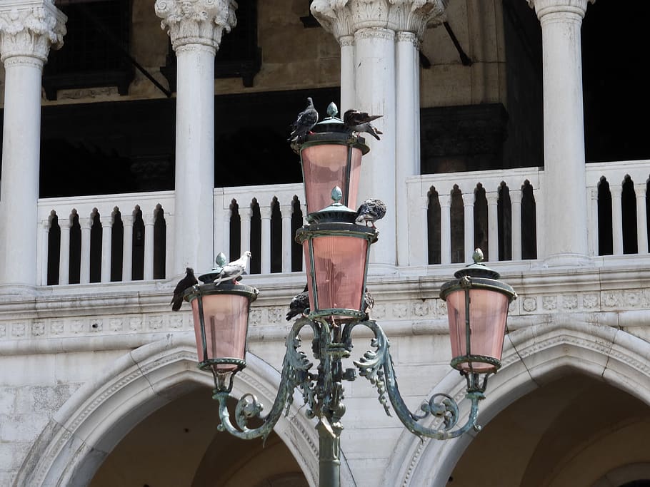 venice, streets, lamp, street lights, murano glass, dove, architecture, built structure, building exterior, architectural column