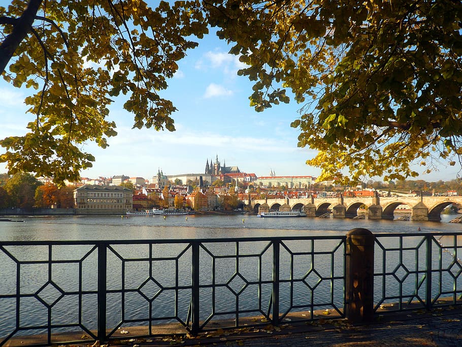 Prague, Vltava, Castle, Charles Bridge, czech republic, city, sky, bridge - man made structure, day, tree
