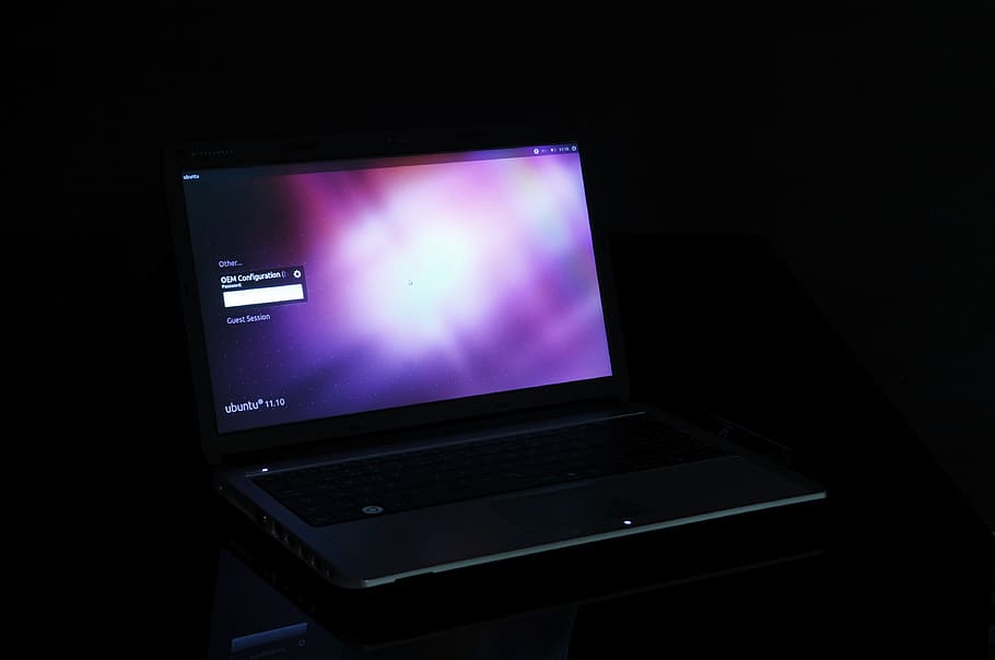 notebook, computer, display, ubuntu, linux, technology, laptop, night, indoors, computer monitor