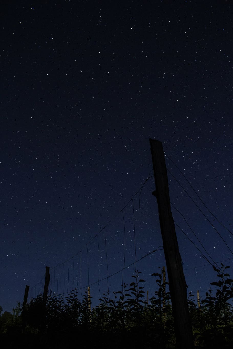pagar kayu coklat, malam, gelap, bintang, astrofotografi, fotografi, pohon, di luar ruangan, kabel, tidak ada orang