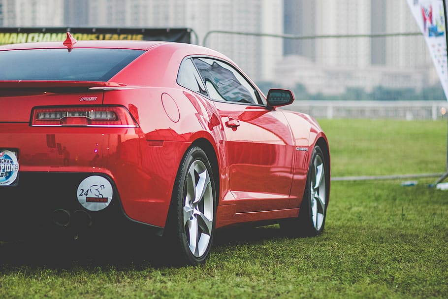 green, grass, lawn, outdoor, field, glossy, red, car, vehicle, travel