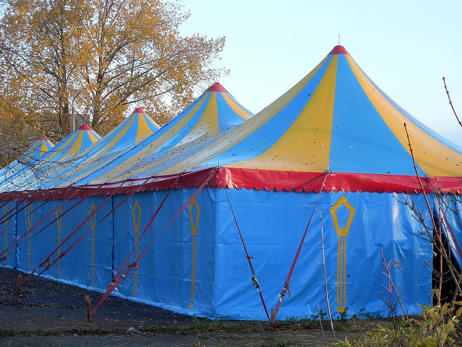 Circus, Circus, Circus Tent, Folk, Festival, tent, circus, folk festival, multi colored, blue, outdoors
