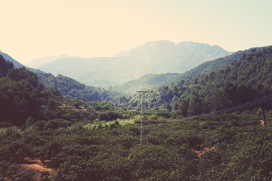 landscape, mountains, valleys, trees, forest, power lines, sky, nature, mountain, scenics - nature
