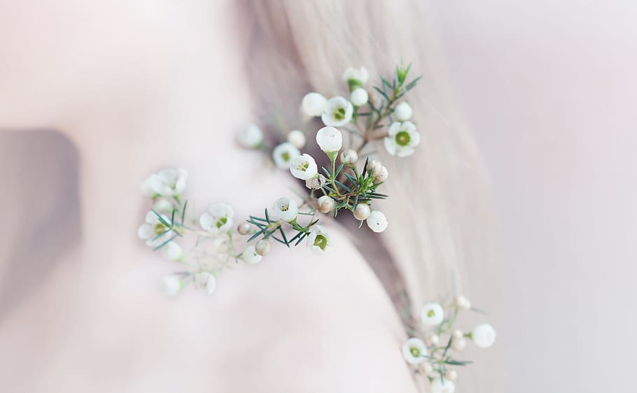 incline a fotografia de lente de mudança, branco, flores, lente de mudança de inclinação, fotografia, flor, planta, concurso, primavera, romântico