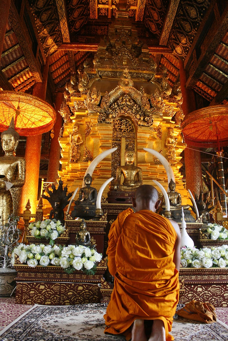 medida, monjes, tailandia, budismo, religión, asia, buda, espiritualidad, rezando, templo - Edificio