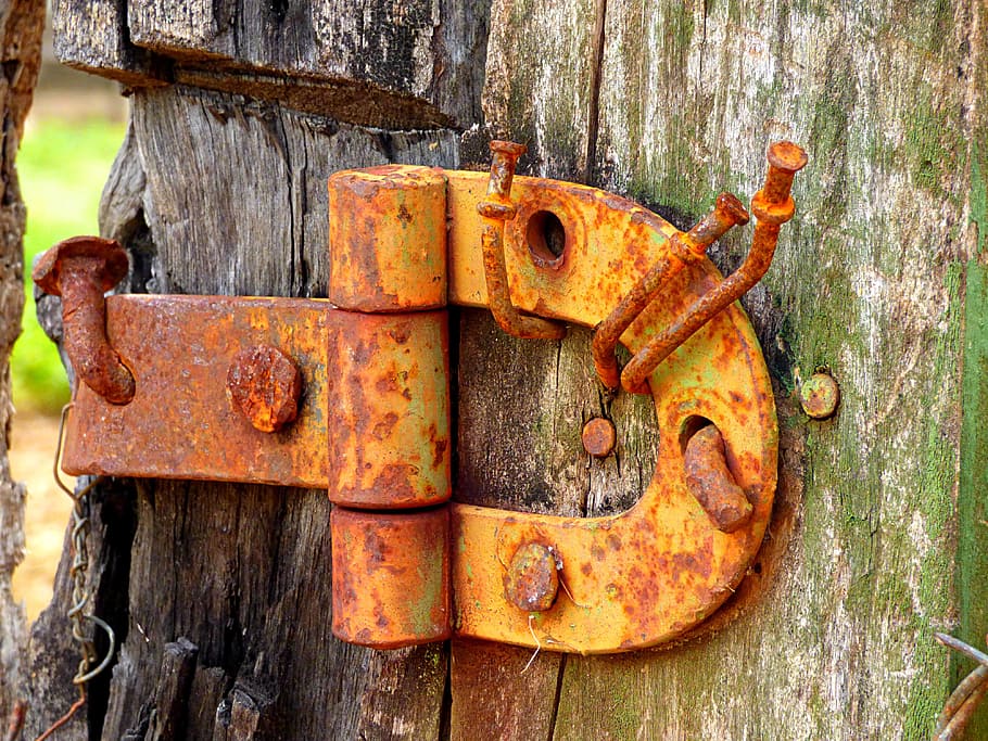 Old, Rust, Nail, Screw, Metal, Iron, wood, hinge, rusty, damaged