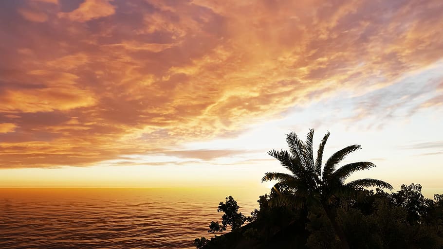 amanecer, sol, naturaleza, atardecer, playa, Byron Bay, Australia, naranja, nube, paisaje marino