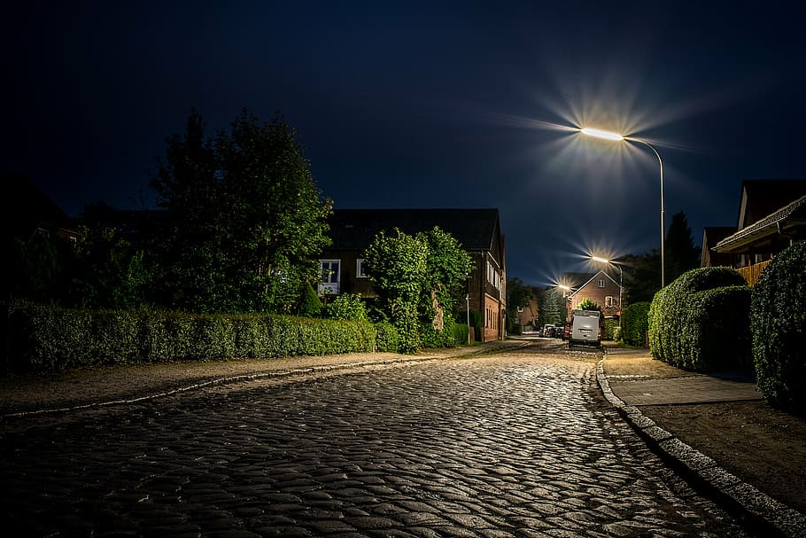 green, bonsai plants, nighttime, barmstedt, city, road, cobblestones, blue hour, lamp, town of barmstedt