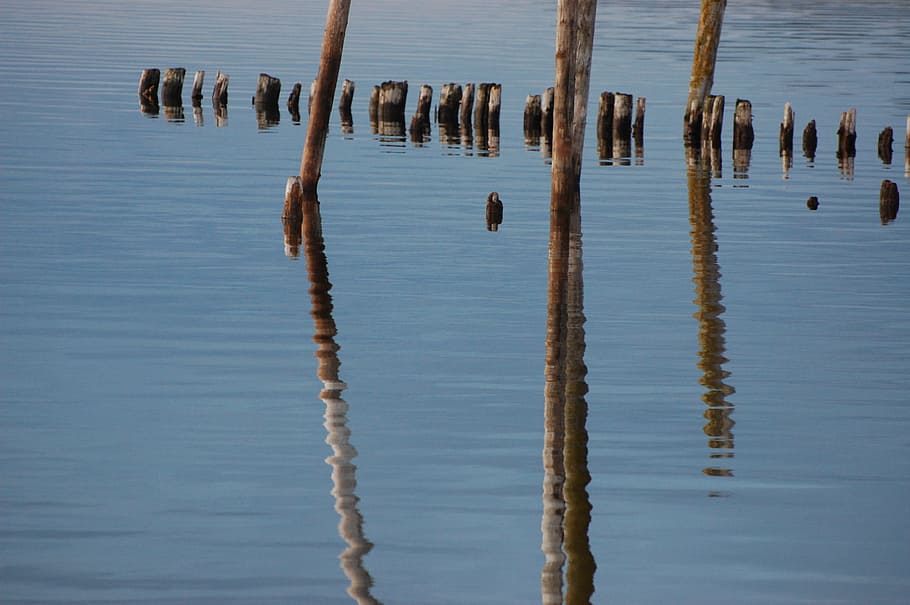 pir, sunken, mirror image, water, reflection, wooden post, post, waterfront, tranquility, lake
