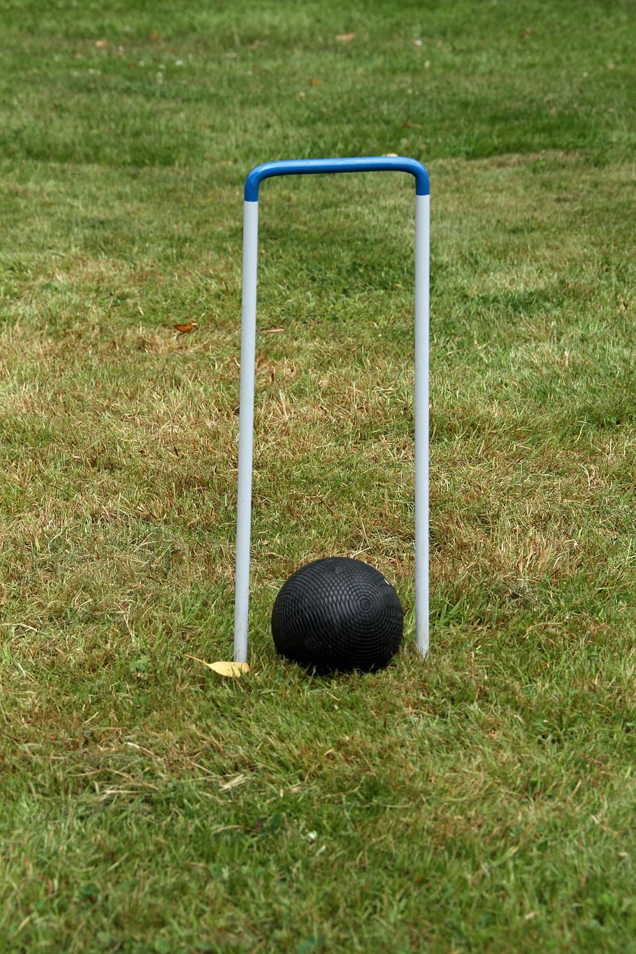 croquet, wooden balls, hoop, equipment, mallet, green, lawn, grass, plant, land