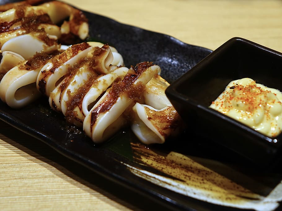 squids on plate, squid, japanese, grilled, seafood, food, sea, plate, tasty, food and drink
