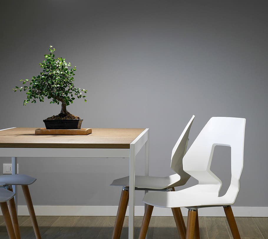 wooden, table, plant decor, chairs, interior, design, furniture, green, plant, wall