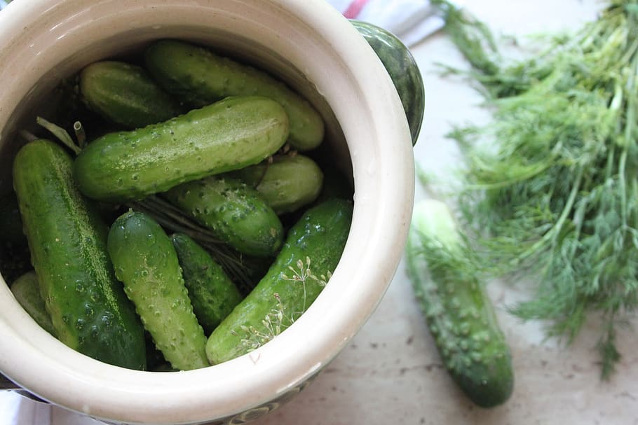 cucumbers, kiszenie, małosolne, kitchen, dill, green, fresh, vitamins, koper, healthy