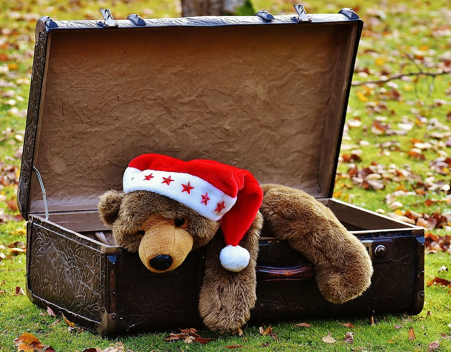 brown, bear, plush, toy, luggage bag, christmas, luggage, antique, teddy, soft toy