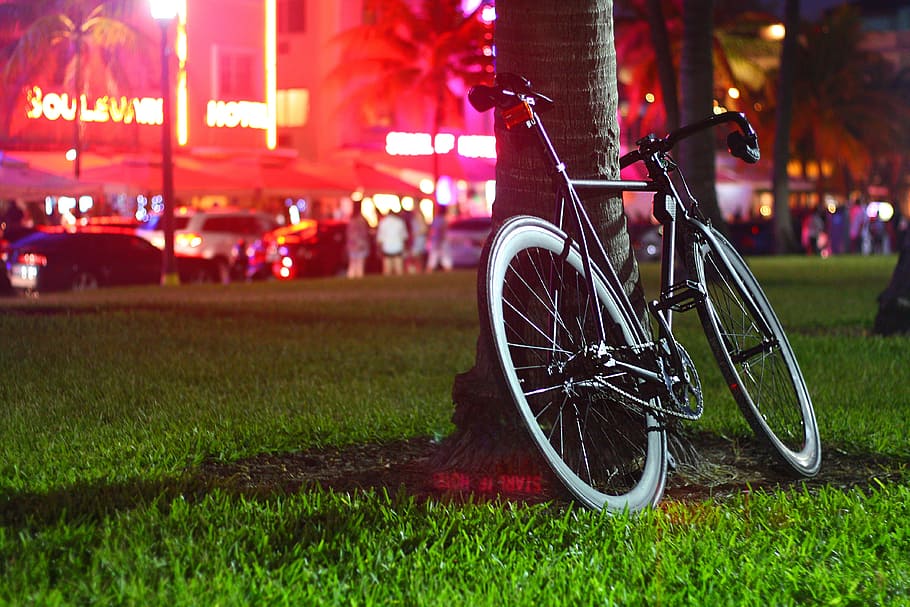 검은, 도로 자전거, 기울고, 나무, 밤, 공원, 거리, 자전거, fixie, 등