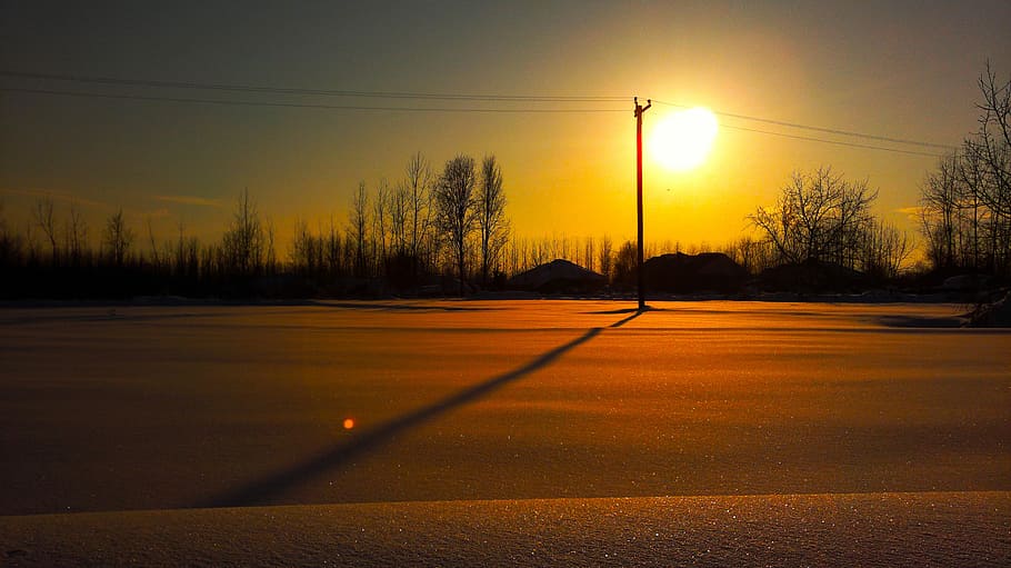 fotografia de silhueta, árvores, ao lado, estrada, sol, nevado, estradas, dourado, amarelo, luz solar
